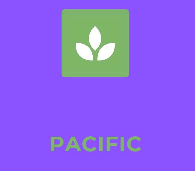 pacific.qcbeagleshipping.com